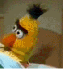 avatar_image