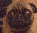 users_avatar_image