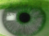 users_avatar_image