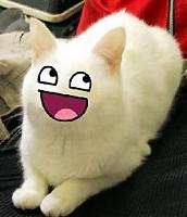 faxity avatar_image