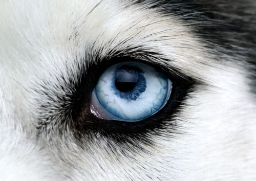 avatar_image